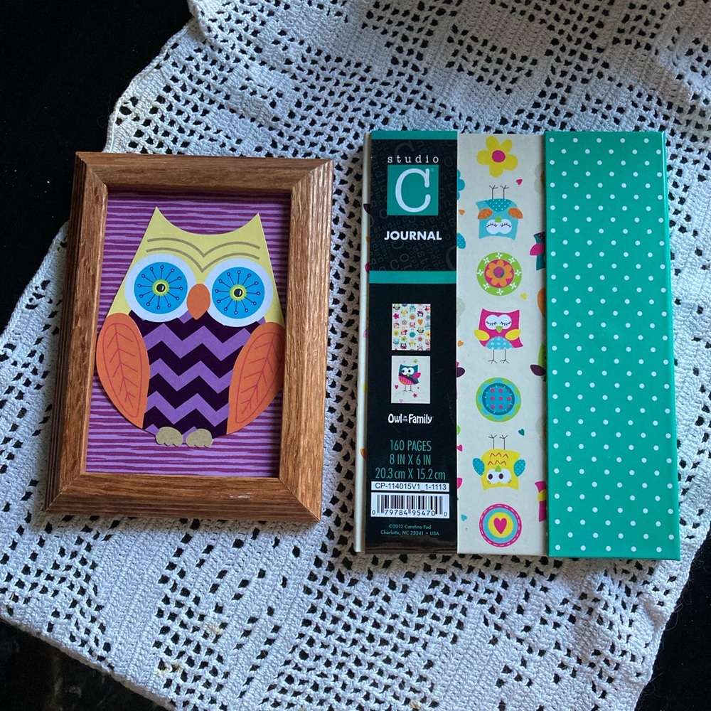 Colorful “Owl Duet”with framed paper owl & journal